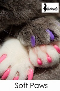 soft paws aristocats